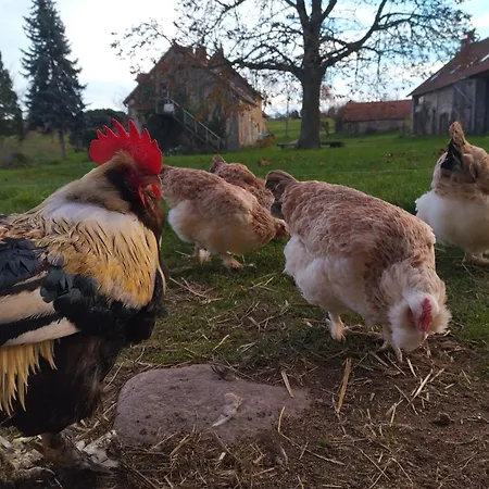 Rural Avec Animaux, Wi-fi, Parking, Proche Nature - Fr-1-489-561 Saint-Bonnet-de-Four