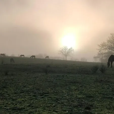 Holiday home Evasion Champetre : Renove Avec Animaux Acceptes - Fr-1-489-561