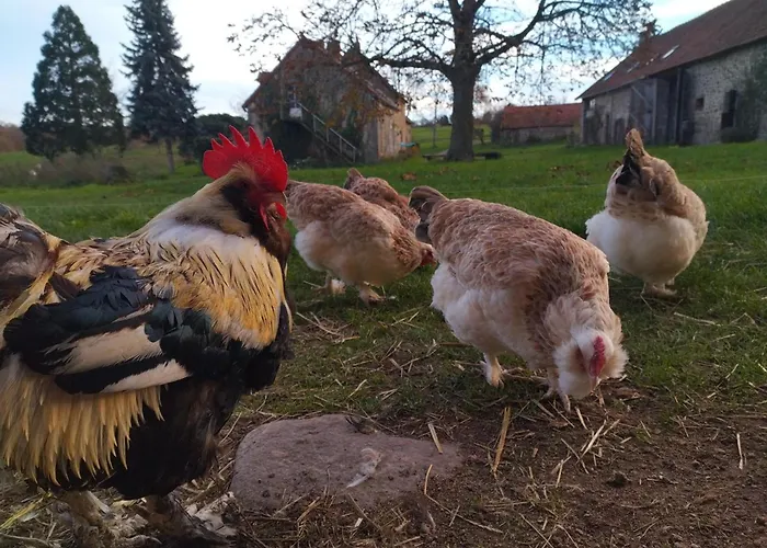 Evasion Champetre : Renove Avec Animaux Acceptes - Fr-1-489-561 Saint-Bonnet-de-Four