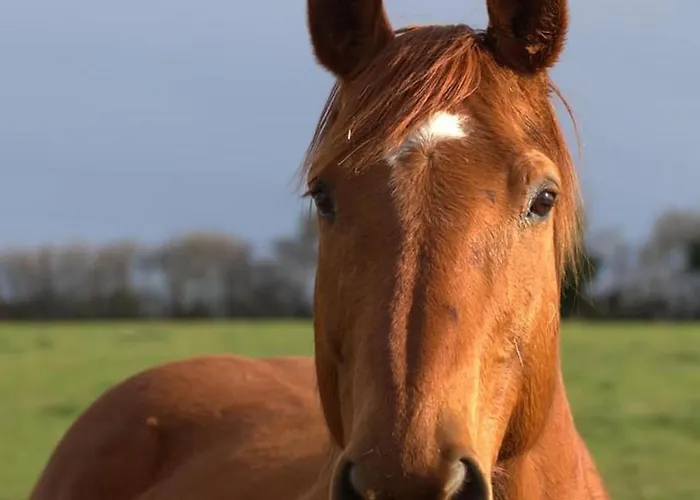 Prázdninový dům Evasion Champetre : Renove Avec Animaux Acceptes - Fr-1-489-561 Saint-Bonnet-de-Four