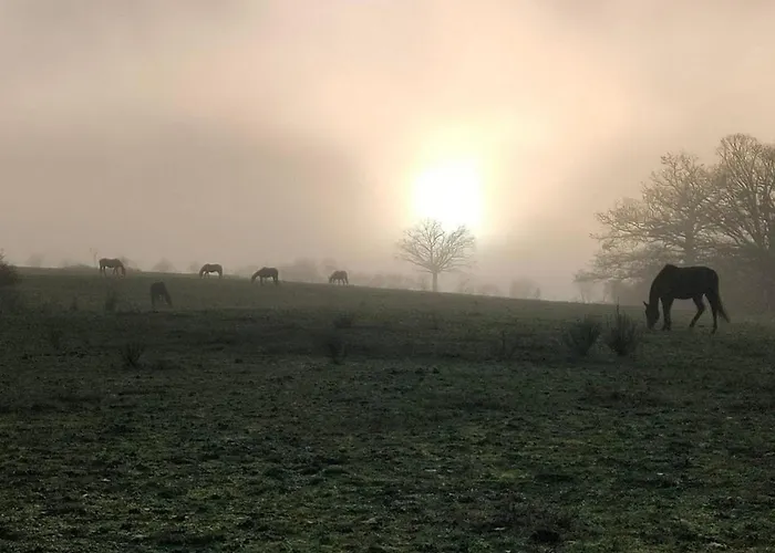 Prázdninový dům Evasion Champetre : Renove Avec Animaux Acceptes - Fr-1-489-561